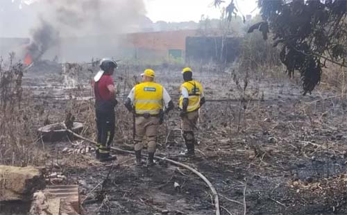 Incêndio de grandes proporções destrói área verde em Rio Largo