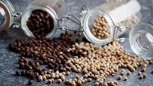 Potencializando a Nutrição com Temperos e Tecnologias Inovadoras