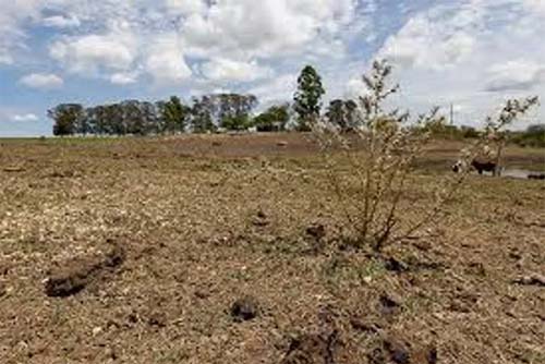Duas cidades de Alagoas têm situação de emergência reconhecida pelo MIDR devido à estiagem