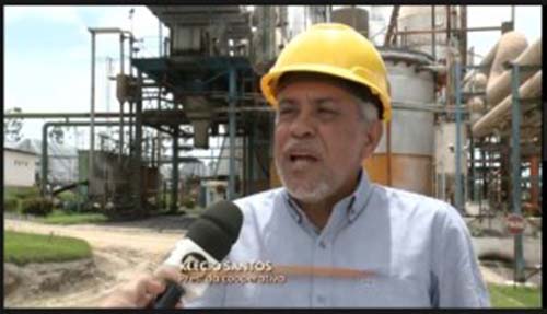 Pindorama e Asplana mostram retomada da cana em AL