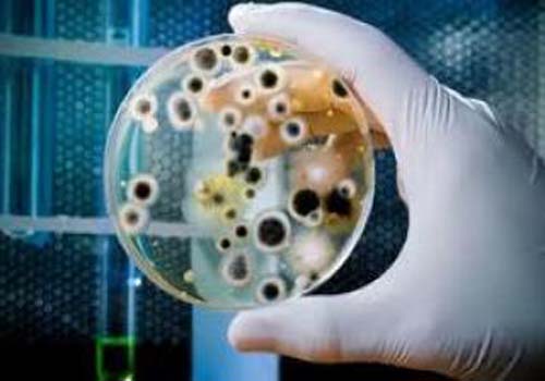 Bactéria responsável por diarreia resiste a remédios