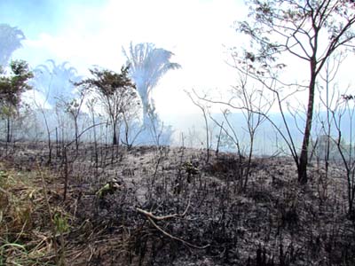 FCP em Alagoas prepara ações preventivas e reparatórias para a Serra da Barriga