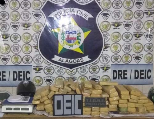PC deflagra operação e apreende 60Kg de maconha