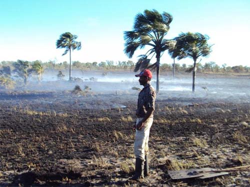 Incêndios podem cair pela metade com estratégia de manejo