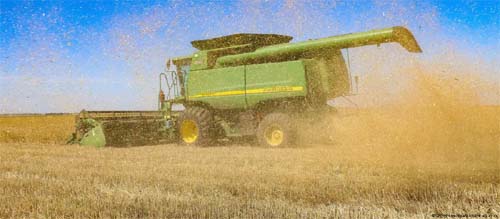 As consequências da suspensão do acordo de grãos pela Rússia