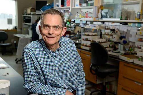 Mal de Parkinson começa no intestino, diz estudo