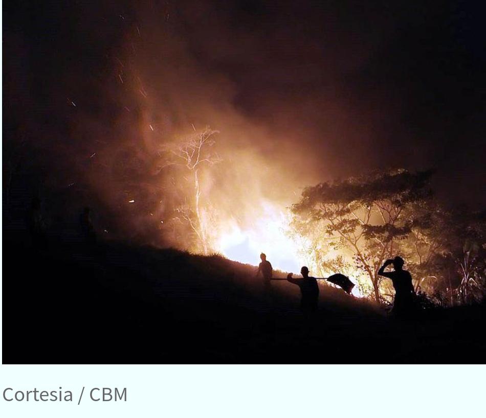 Incêndio atinge pasto e mata fechada de fazenda em União dos Palmares