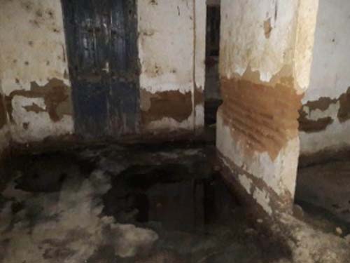 Operação autua duas pessoas por abate clandestino de animais em Arapiraca