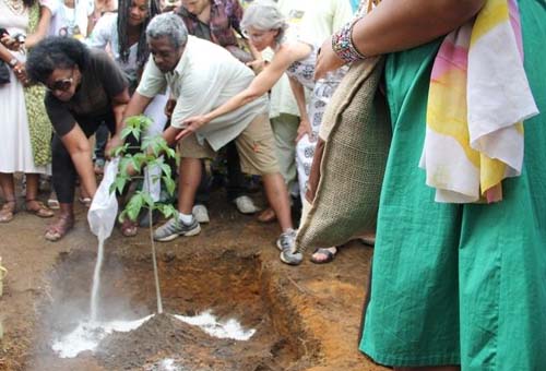 Cinzas de Abdias Nascimento são depositadas na Serra da Barriga