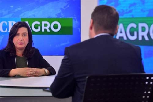 ABDI e Desenvolvimento Agrário estudam plataforma para pequeno produtor