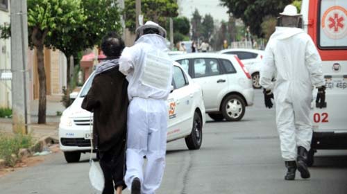 Ataque de abelhas deixa 15 feridos no interior de SP