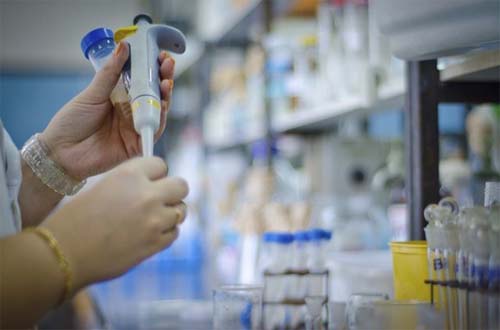 Brasil lidera novas nomeações para a Academia Mundial de Ciências