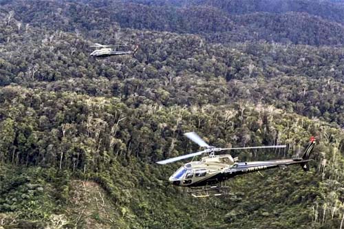 Ação do Ibama desativa pistas de pouso e destrói avião em Roraima