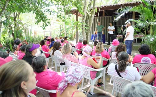 MPAL promove plantio de ipês rosa para pacientes oncológicas no Dia Mundial do Câncer