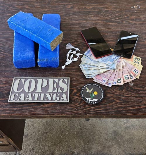 Em 1 semana, PM/AL apreende 20 armas de fogo e mais de 10 kg de drogas