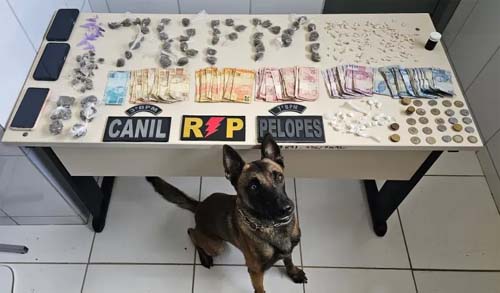 Após denúncia, polícia prende quatro suspeitos de tráfico de drogas no Sertão de Alagoas