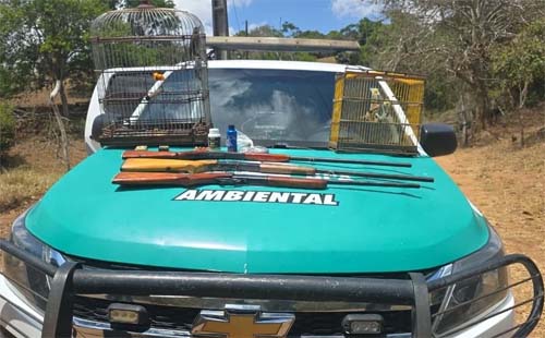 Operação no Agreste de Alagoas leva à apreensão de armas e resgate de aves silvestres