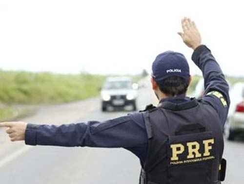 Jovem de 19 anos é presa com mais de 300 kg de maconha em ônibus clandestino