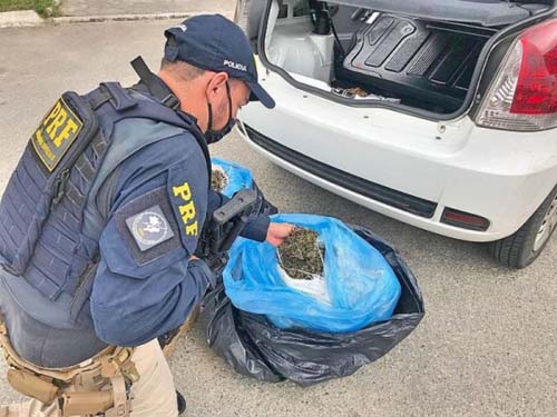 Operação detém 35 pessoas por tráfico e apreende mais de 530 kg de drogas em AL, PE e BA