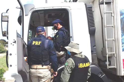 PRF em Alagoas prende cinco pessoas durante fiscalizações nas BR's 101 e 423