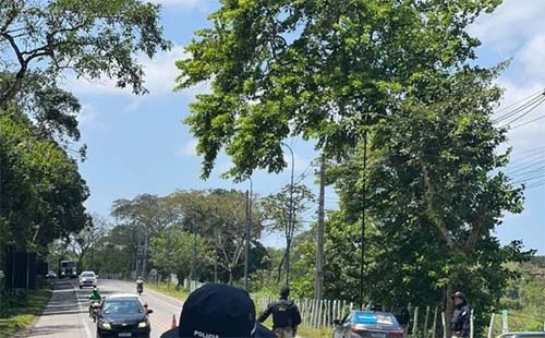 PRF/AL registra porte ilegal de arma de fogo em Murici