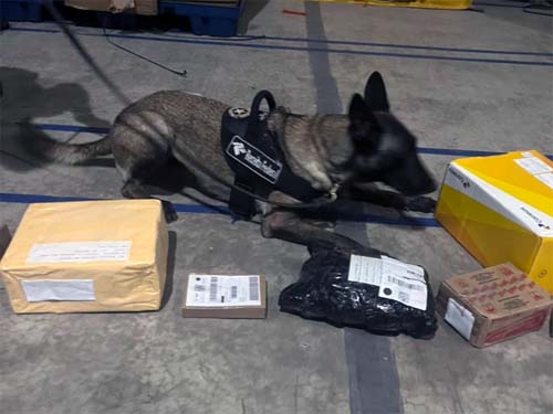 Receita Federal apreende cocaína líquida, anabolizantes e frascos de ayahuasca em encomenda nos Correios