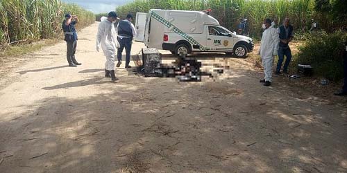 Mulher é encontrada carbonizada dentro de geladeira em Pilar; pernas foram amputadas