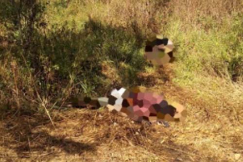 Dois corpos são encontrados na zona rural de Arapiraca neste sábado (27)