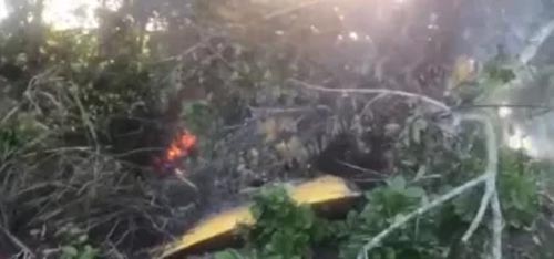 PC instaura inquérito para investigar queda de avião agrícola em Alagoas