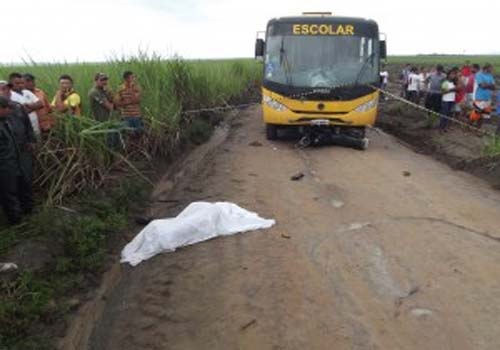 Motorista morre após carro de passeio bater em árvore na AL-210