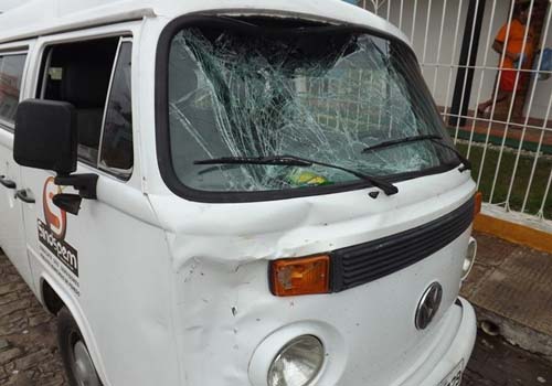 Animais na pista voltam a assustar motoristas de Penedo e região 