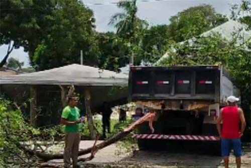 Veículo de grande porte desgovernado causa caos em Maceió ao invadir canteiro e atingir estrutura escolar