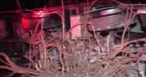 Caminhão Capota e Provoca Queda de Árvore na BR-101 em Colônia Leopoldina