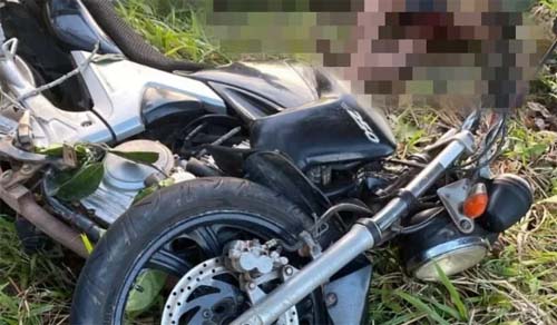 Condutor morre ao atingir árvore às margens da pista em Coruripe