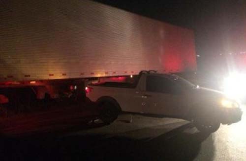 Animal na pista provoca acidente na AL-220, na saída do Povoado Folha Miúda, em Craíbas