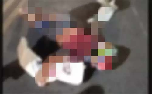 Tragédia na AL 101 Norte: motociclista perde a vida após colisão