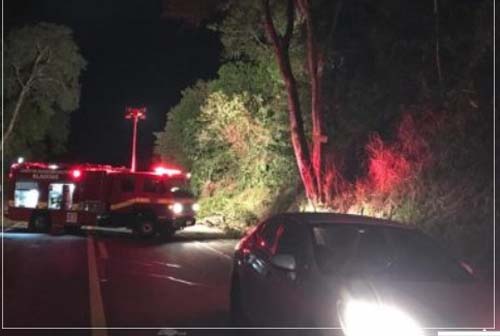 Quatro Pessoas Ficam Feridas Após Colisão Em Árvore Na BR 104, Em Murici