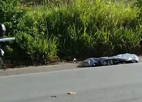 Motociclista morre após atropelar animal em rodovia