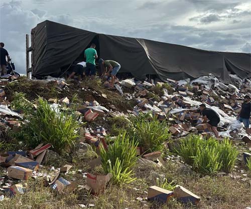 Carreta Tomba na BR-101 e População Saqueia Carga de Carne Enlatada em Porto Real do Colégio