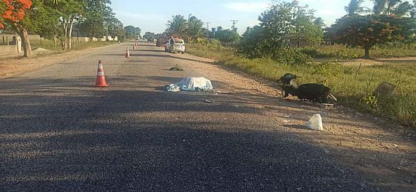 Motociclista morre ao sofrer acidente na rodovia AL-110, em São Sebastião