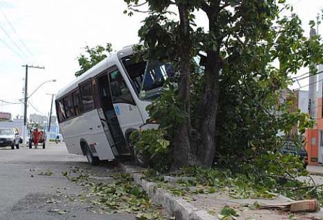 Motorista perde o controle, sobe canteiro e colide em árvores