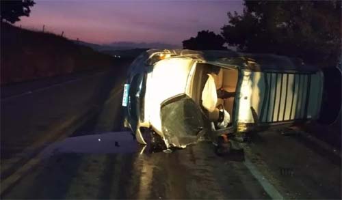 Acidente envolvendo carro e búfalo deixa feridos em União dos Palmares