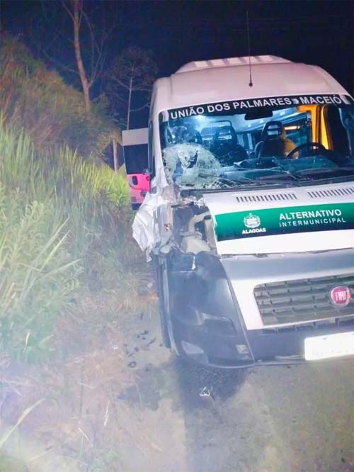Colisão entre Van e Cavalo Solto na BR-104 Surpreende Passageiros sem Feridos
