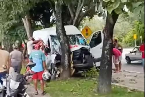 Van sobe em canteiro da Durval de Gois Monteiro e bate em uma árvore