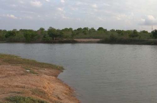 Populares encontram corpo boiando em açude, no município de Branquinha no interior de Alagoas