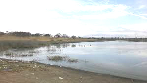 Jovem de 18 anos que não sabia nadar morre afogado em açude na zona rural de Igaci