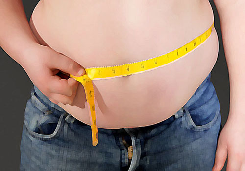 Obesidade: mitos e fatos 