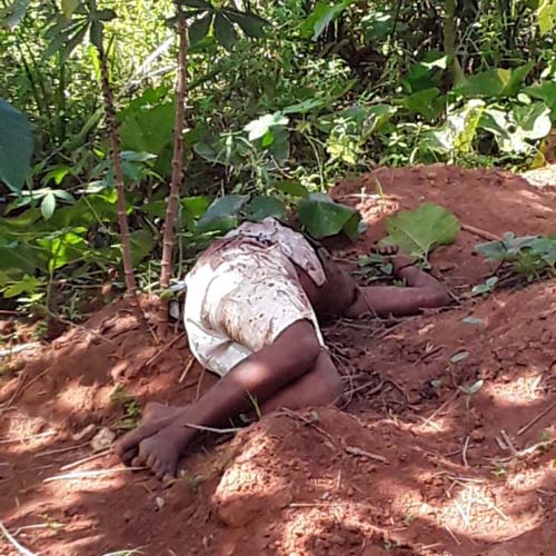 Adolescente de 15 anos que estava desaparecido é encontrado decapitado em Coruripe