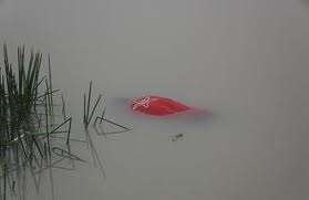 Corpo de homem é encontrado boiando nas águas do Rio São Francisco em Piranhas