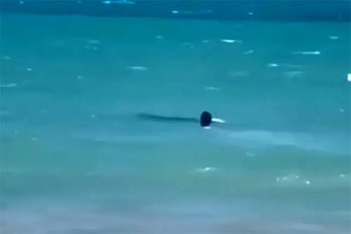 Pescador de 52 anos morre afogado na praia de Ipioca